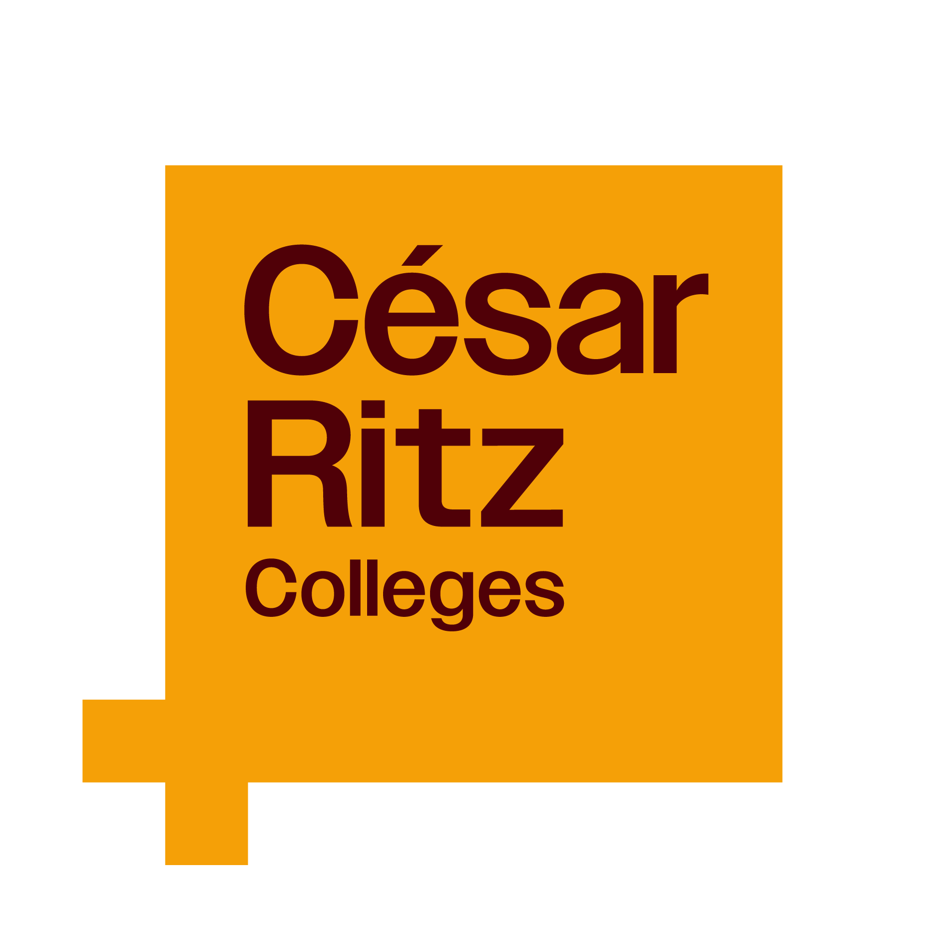 César Ritz Colleges
